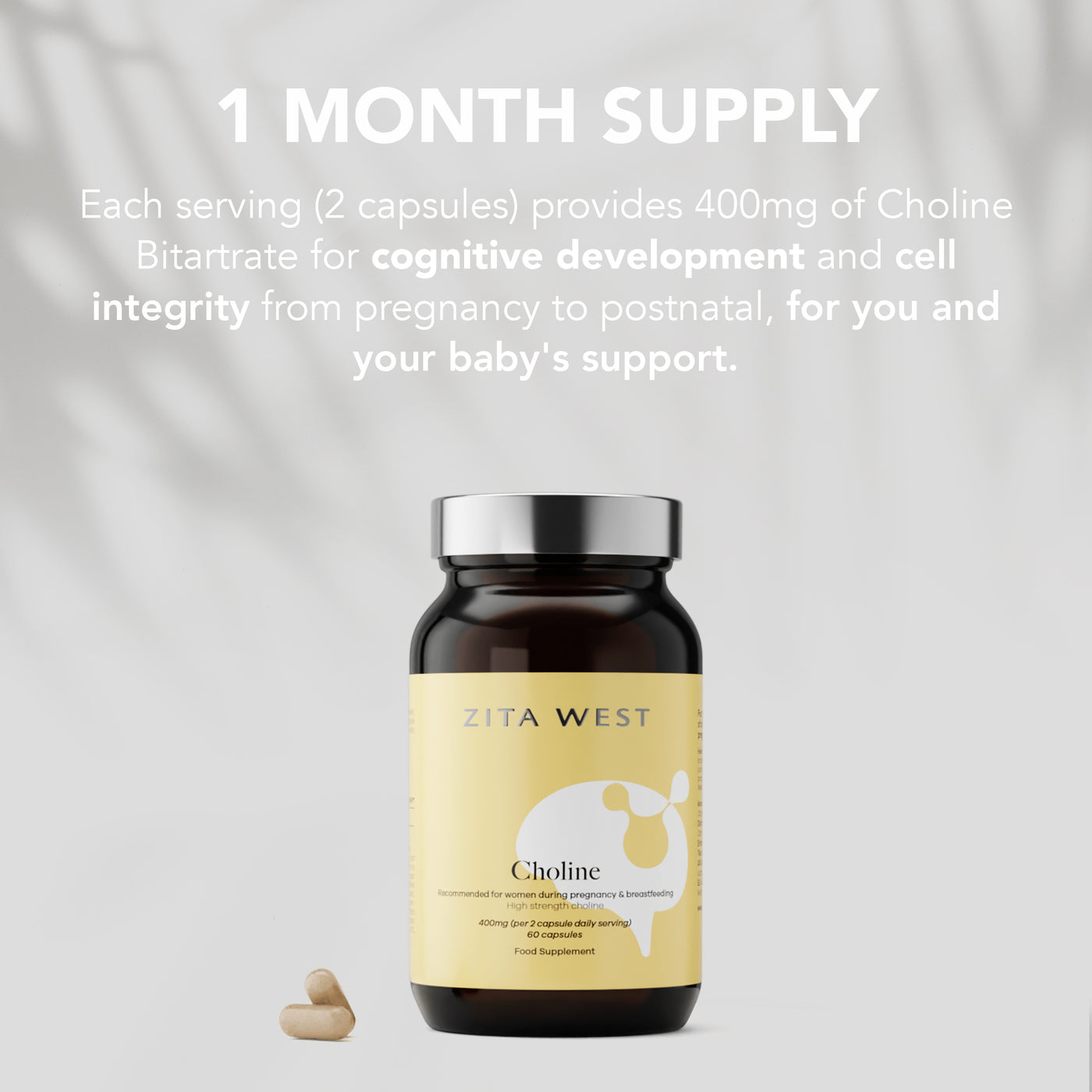 Choline - Essential Nutrient for Fertility, Pregnancy and Foetal Development