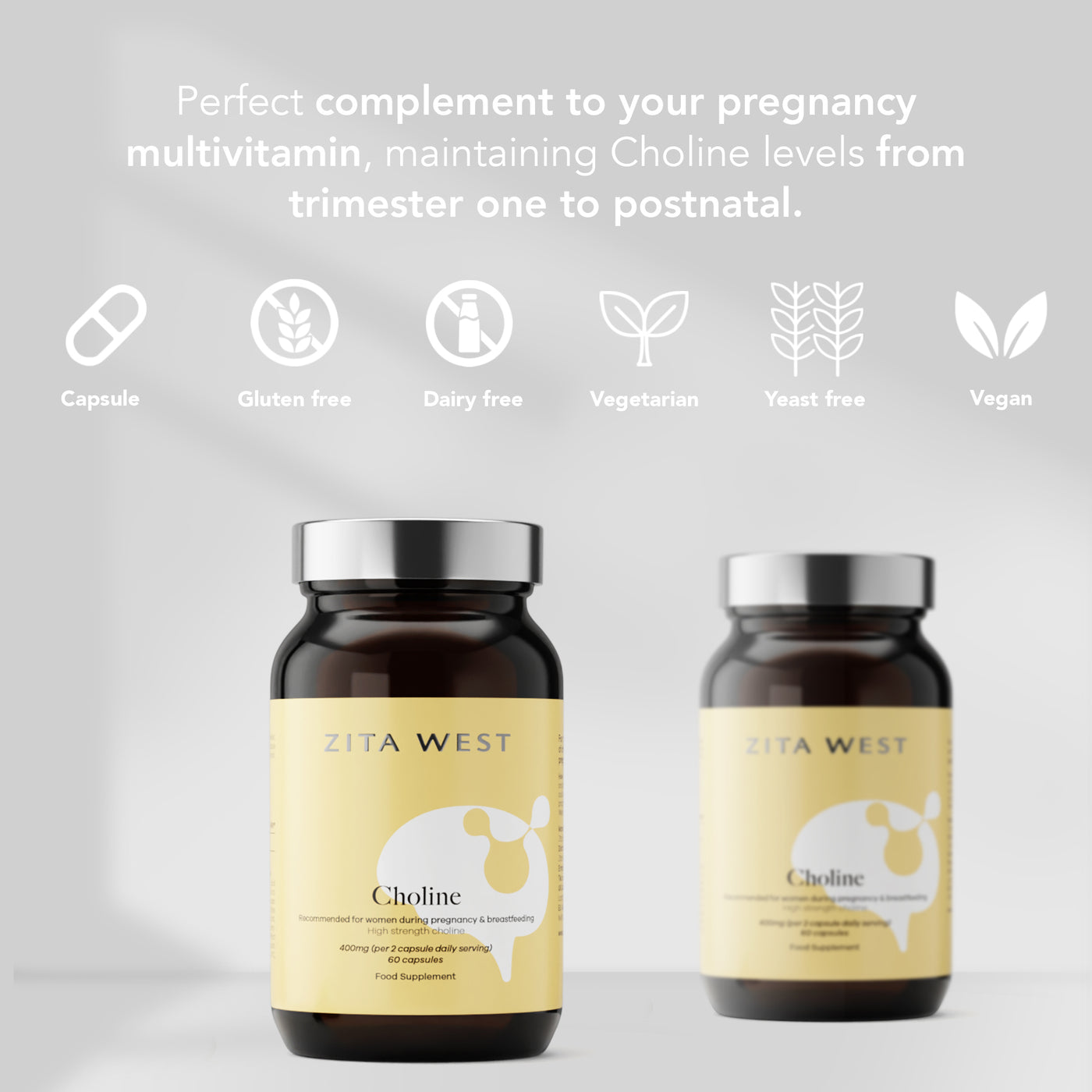 Choline - Essential Nutrient for Fertility, Pregnancy and Foetal Development