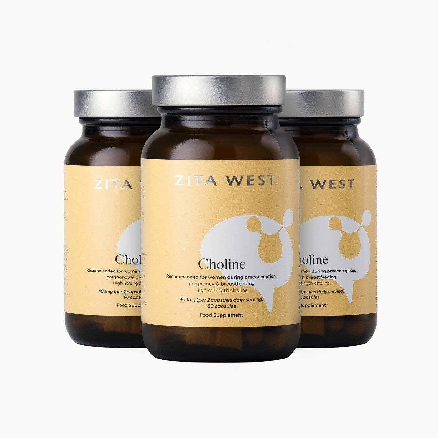 Choline - Essential Nutrient for Fertility, Pregnancy and Foetal Development