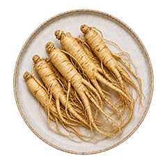 Ginseng Extract
