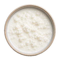 Lactobacillus