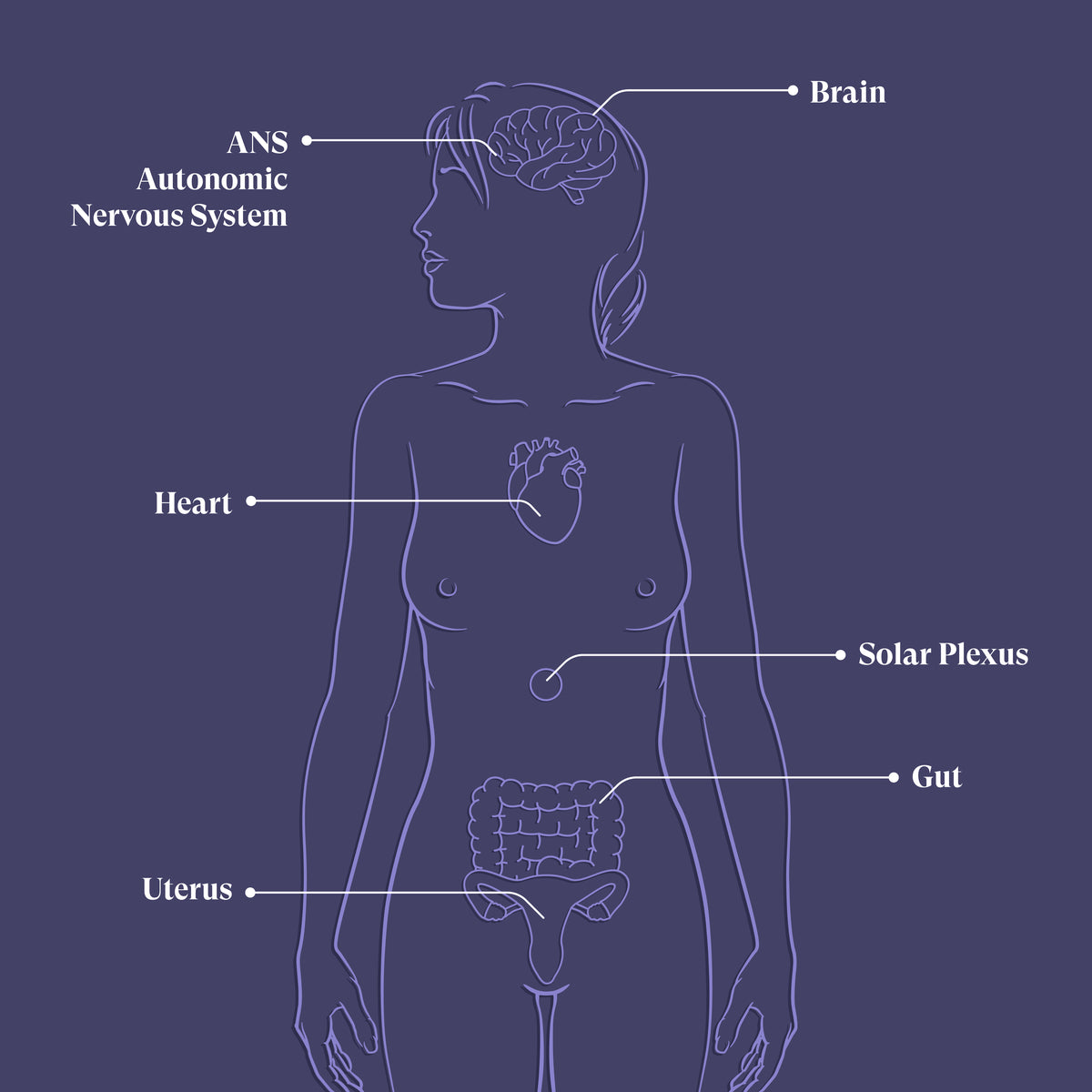 Infographic explaining the Zita West HUG visualisation programme