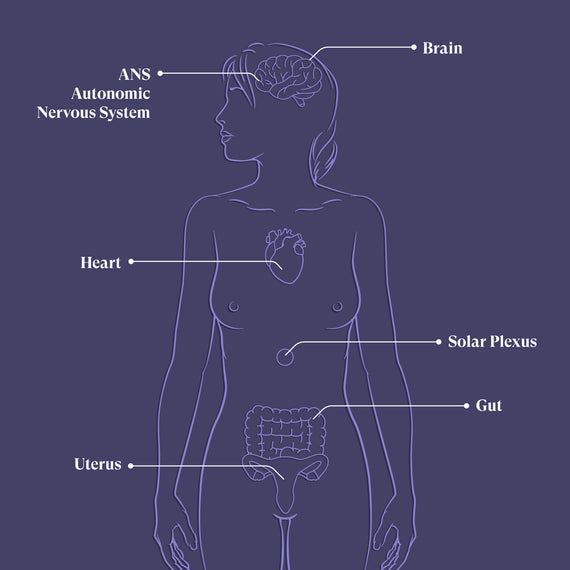 Infographic explaining the Zita West HUG visualisation programme